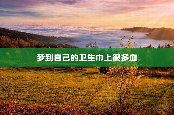 梦到自己的卫生巾上很多血