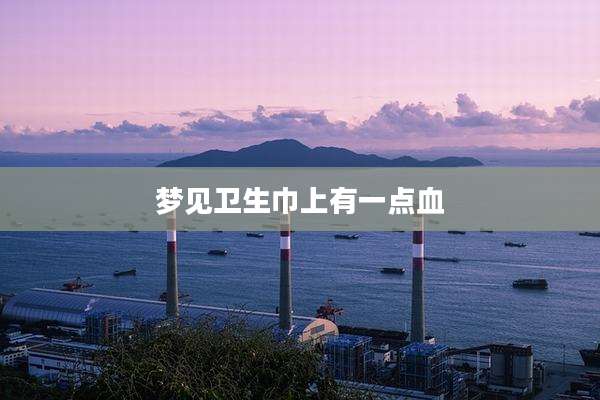 梦见卫生巾上有一点血