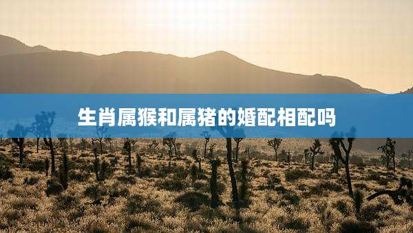 生肖属猴和属猪的婚配相配吗