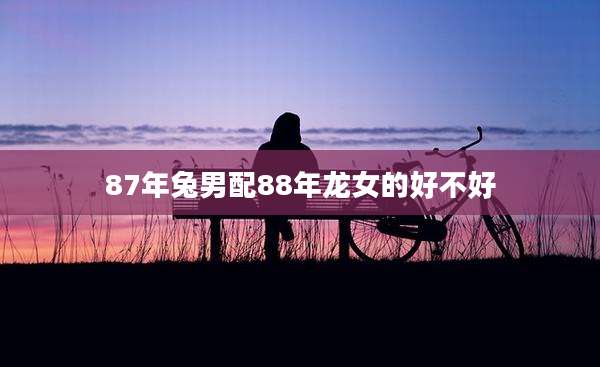 87年兔男配88年龙女的好不好