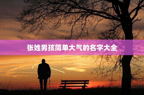张姓男孩简单大气的名字大全