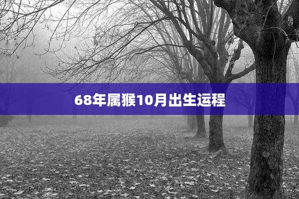 68年属猴10月出生运程