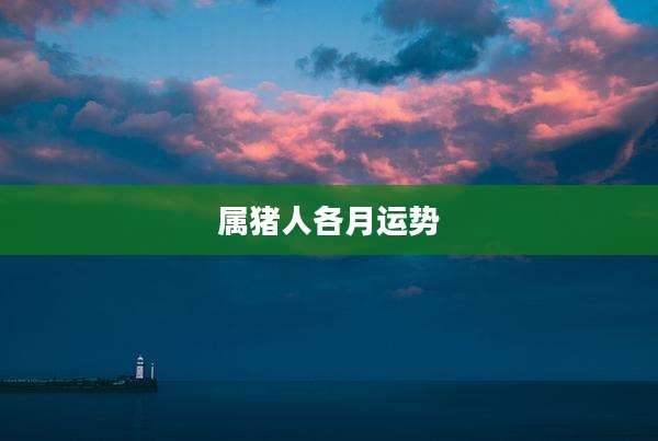 属猪人各月运势