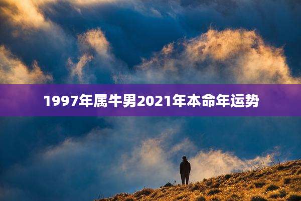 1997年属牛男2021年本命年运势