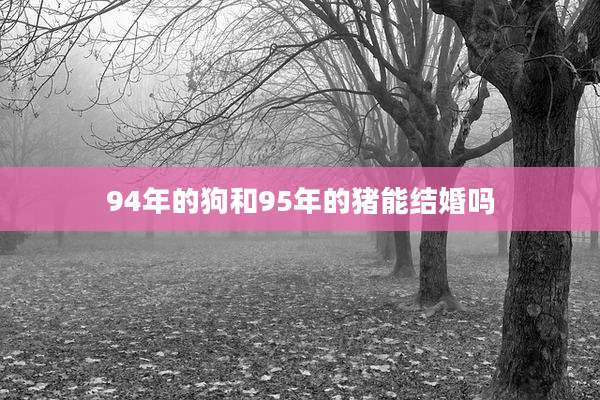 94年的狗和95年的猪能结婚吗