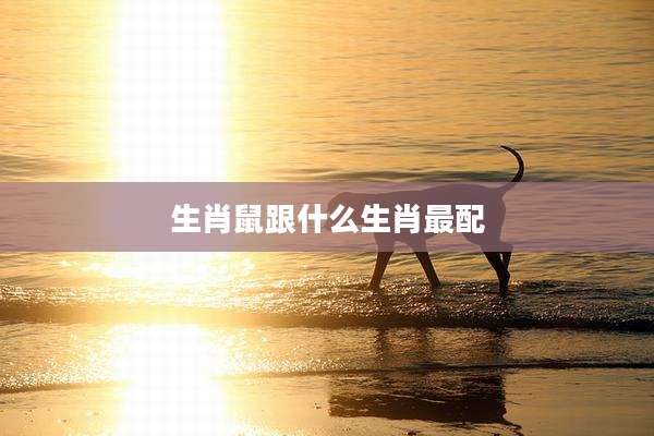 生肖鼠跟什么生肖最配