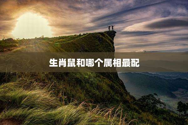 生肖鼠和哪个属相最配