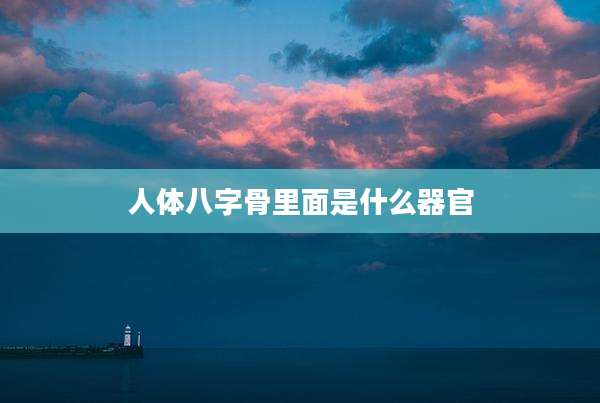 人体八字骨里面是什么器官