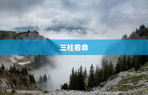 三柱看命
