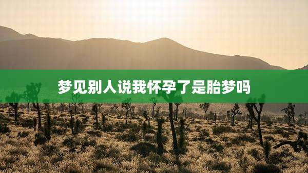 梦见别人说我怀孕了是胎梦吗