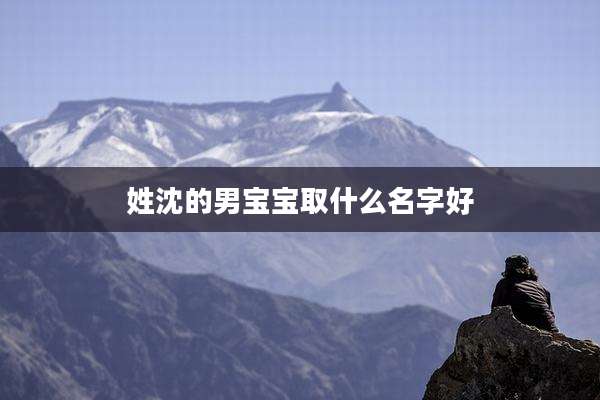 姓沈的男宝宝取什么名字好
