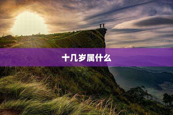 十几岁属什么