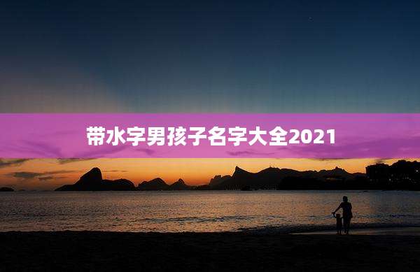 带水字男孩子名字大全2021