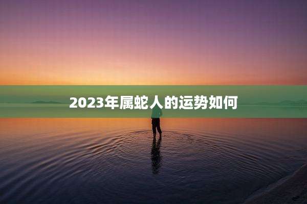 2023年属蛇人的运势如何