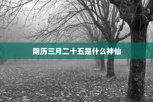 阴历三月二十五是什么神仙