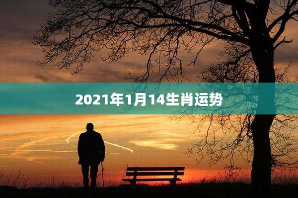 2021年1月14生肖运势