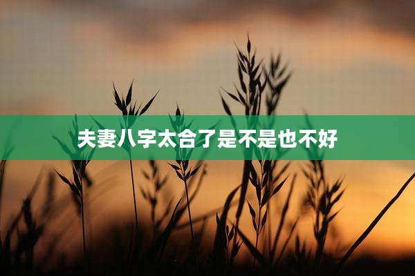 夫妻八字太合了是不是也不好