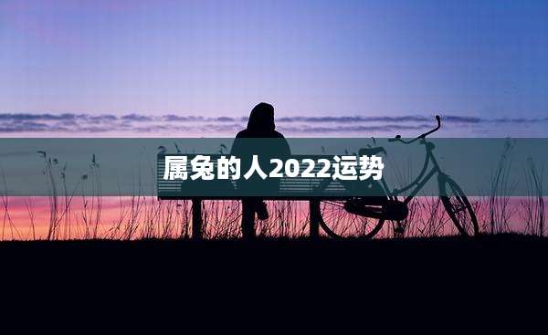 属兔的人2022运势