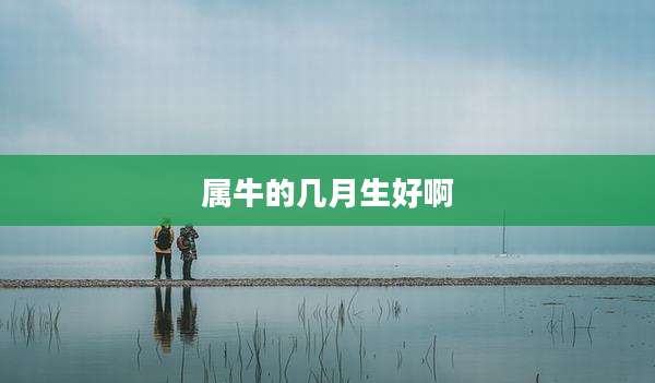 属牛的几月生好啊