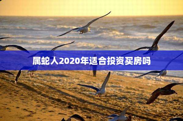 属蛇人2020年适合投资买房吗