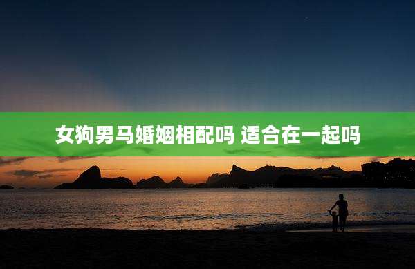 女狗男马婚姻相配吗 适合在一起吗