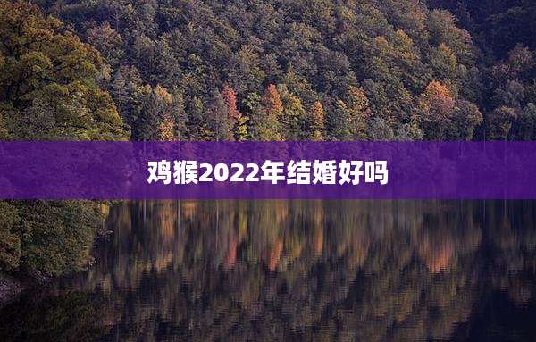 鸡猴2022年结婚好吗
