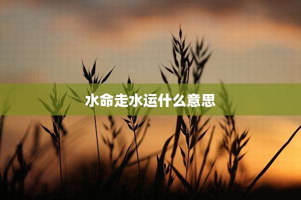 水命走水运什么意思