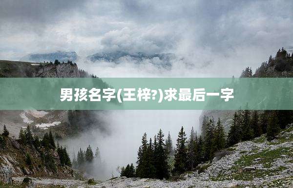 男孩名字(王梓?)求最后一字