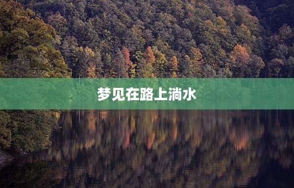 梦见在路上淌水