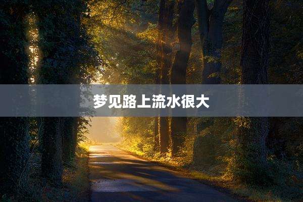 梦见路上流水很大