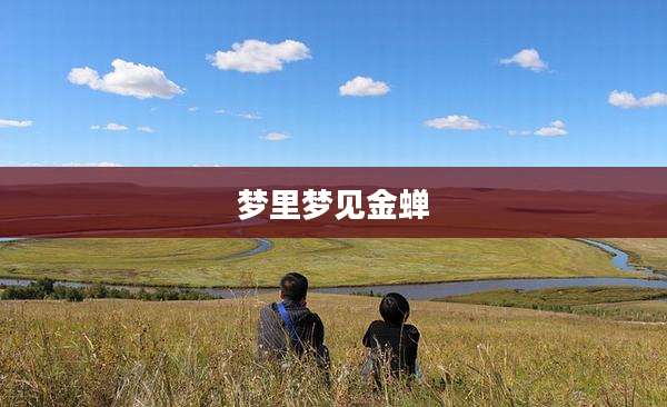 梦里梦见金蝉