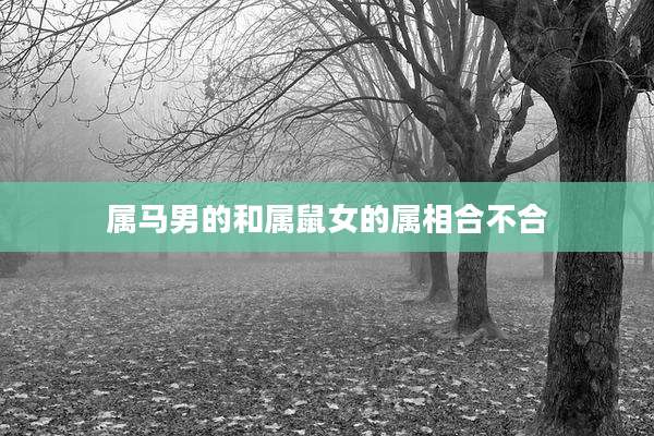 属马男的和属鼠女的属相合不合