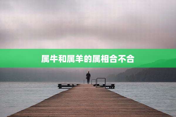 属牛和属羊的属相合不合