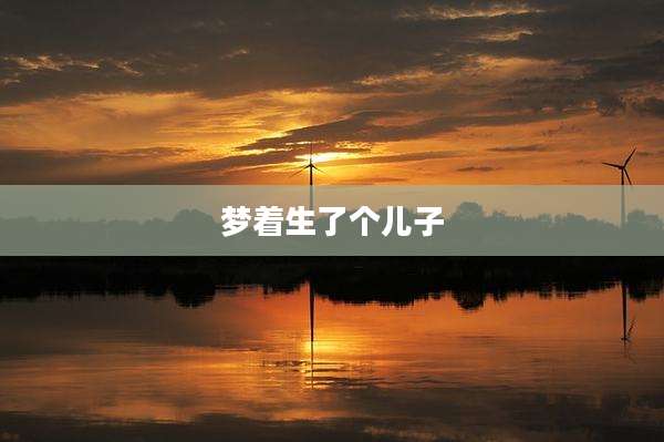 梦着生了个儿子