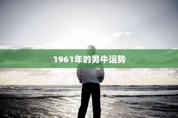 1961年的男牛运势
