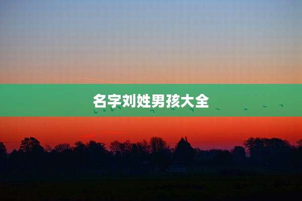 名字刘姓男孩大全