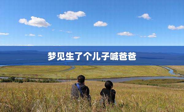 梦见生了个儿子喊爸爸