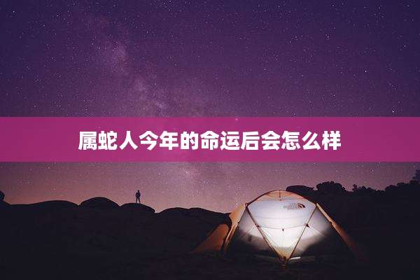 属蛇人今年的命运后会怎么样