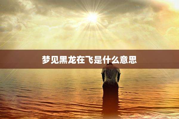 梦见黑龙在飞是什么意思