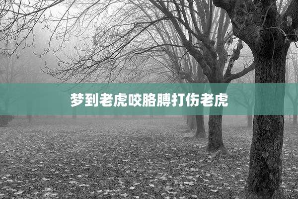 梦到老虎咬胳膊打伤老虎