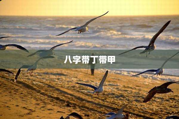 八字带丁带甲