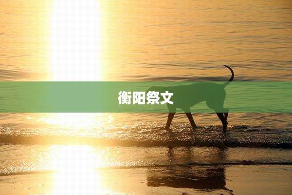 衡阳祭文