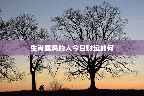 生肖属鸡的人今日财运如何