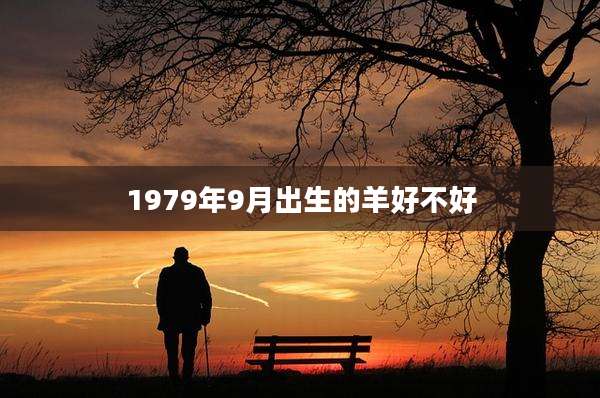 1979年9月出生的羊好不好