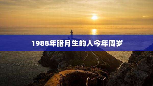 1988年腊月生的人今年周岁