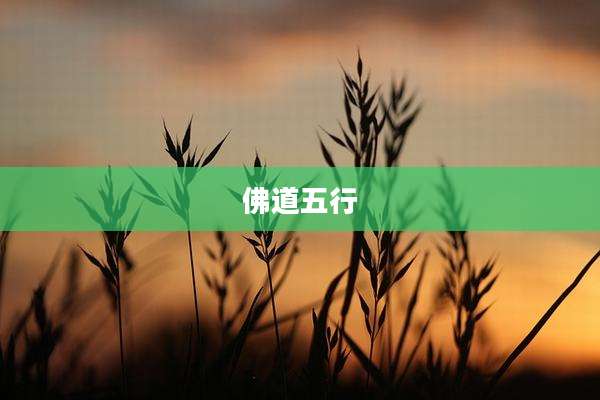 佛道五行