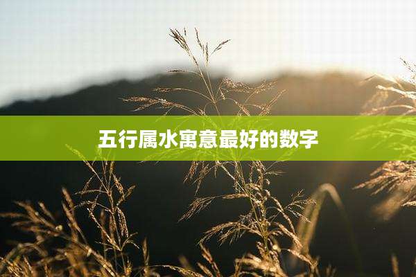 五行属水寓意最好的数字