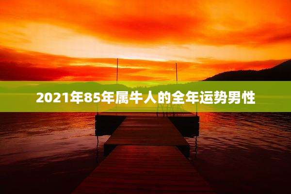 2021年85年属牛人的全年运势男性