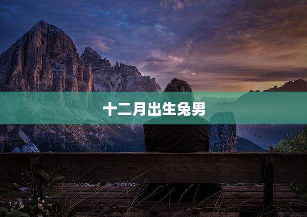 十二月出生兔男