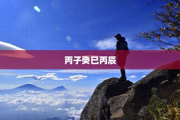 丙子癸巳丙辰
